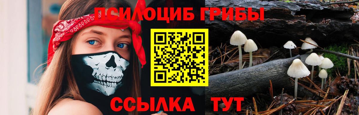 Ревда  Галлюциногенные грибы MAGIC MUSHROOMS  как найти закладки  Вход с VPN 